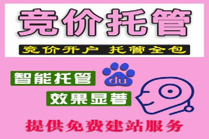 实战解析：SEM网络推广成功案例分享